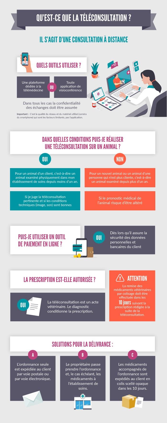 Infographie décrivant ce qu'est la téléconsultation