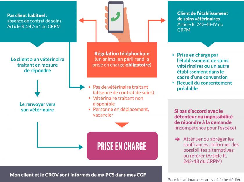 Infographie de prise en charge en urgence